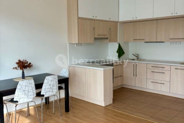 2 bedroom with open-plan kitchen flat to rent, 96 m², Matěchova, Praha