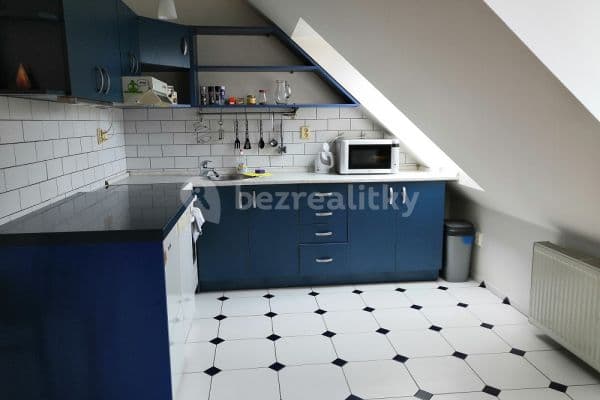 1 bedroom with open-plan kitchen flat to rent, 53 m², Toužimská, Hlavní město Praha