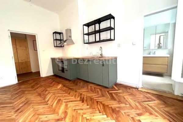1 bedroom with open-plan kitchen flat to rent, 45 m², Husitská, Praha