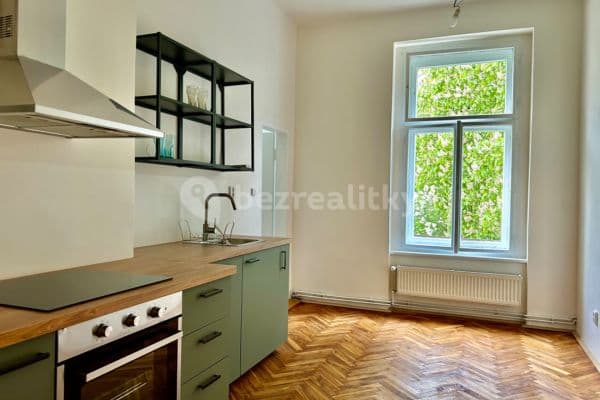 1 bedroom with open-plan kitchen flat to rent, 45 m², Husitská, Prague, Prague