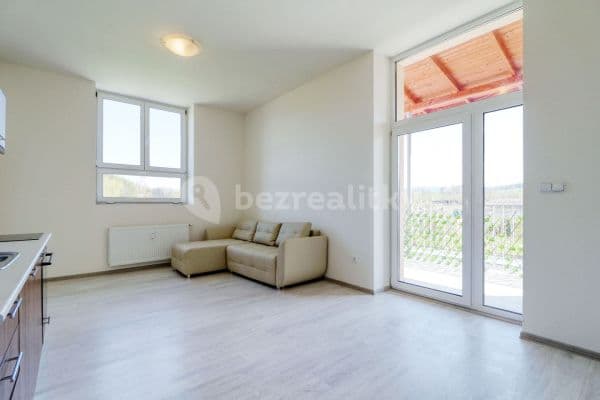 1 bedroom with open-plan kitchen flat for sale, 45 m², Rozvojová zóna, 