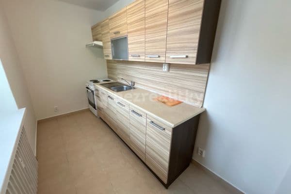 1 bedroom with open-plan kitchen flat to rent, 45 m², Jana Švermy, 