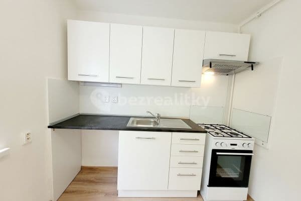 1 bedroom flat to rent, 26 m², Opletalova, 