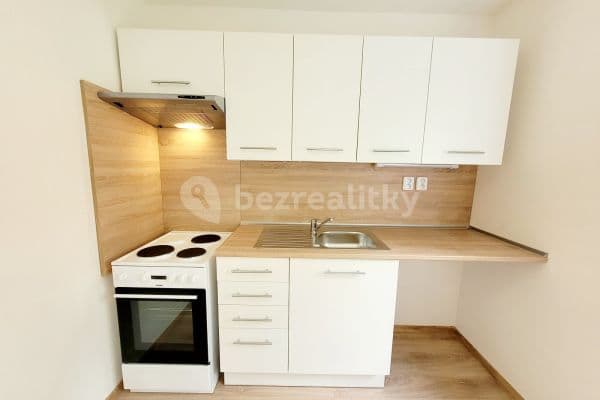 1 bedroom flat to rent, 27 m², Opletalova, 