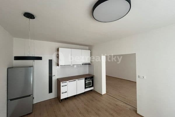 1 bedroom with open-plan kitchen flat to rent, 55 m², Poděbradova, Brno