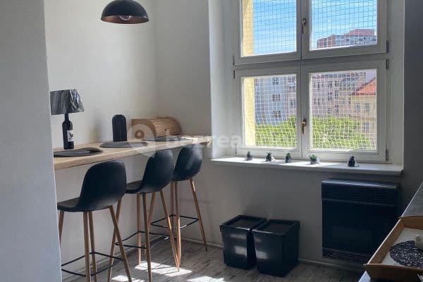 1 bedroom with open-plan kitchen flat to rent, 47 m², Minská, Prague, Prague