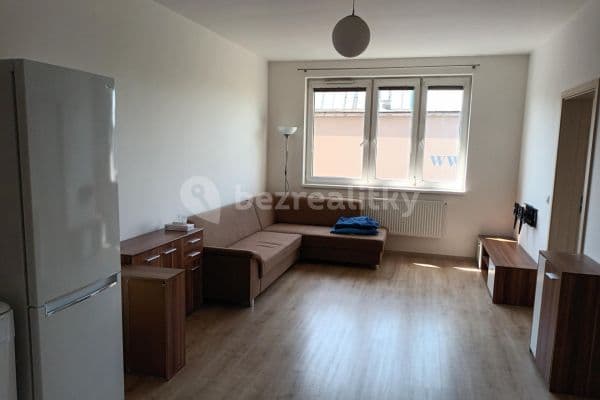 1 bedroom with open-plan kitchen flat to rent, 43 m², Freyova, Hlavní město Praha