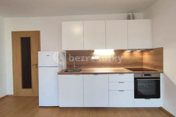 1 bedroom with open-plan kitchen flat to rent, 55 m², Stočesova, Praha