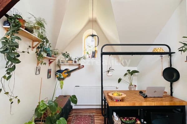 1 bedroom with open-plan kitchen flat to rent, 44 m², Erbenova, Prague, Prague