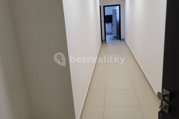 1 bedroom with open-plan kitchen flat to rent, 47 m², Hlavní, Lázně Toušeň