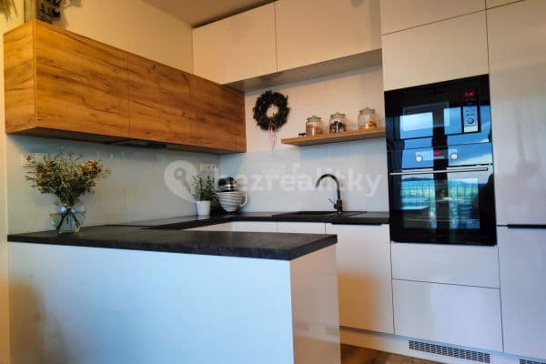 2 bedroom with open-plan kitchen flat to rent, 64 m², Holubice