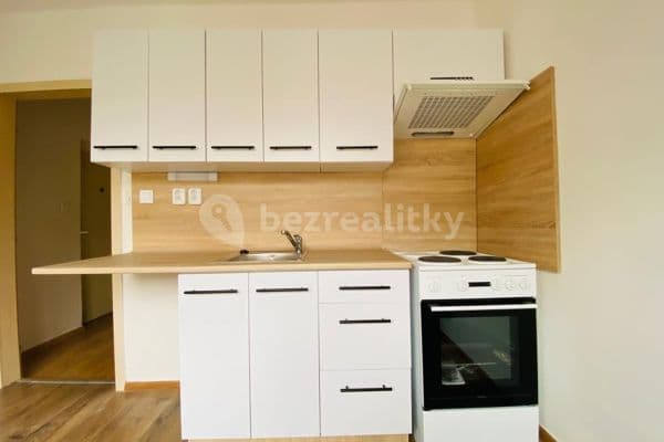 1 bedroom flat to rent, 19 m², Boleslavova, 
