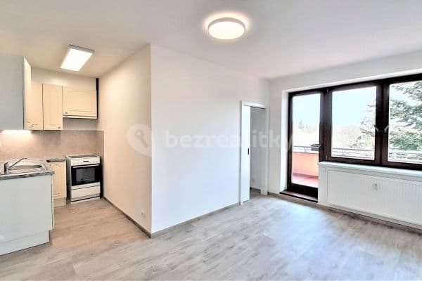 1 bedroom with open-plan kitchen flat to rent, 52 m², Ústavní, Praha