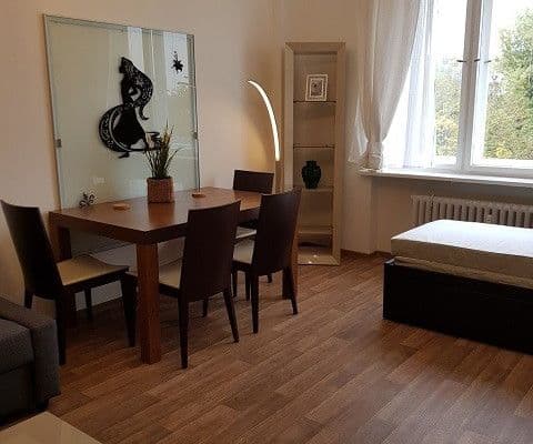 Small studio flat to rent, 32 m², Lannova, Praha Small studio flat to rent, 32 m², Lannova, Praha