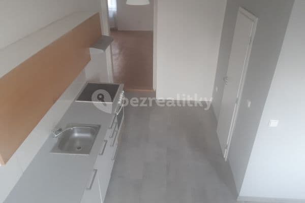 1 bedroom with open-plan kitchen flat to rent, 45 m², Bayerova, Brno