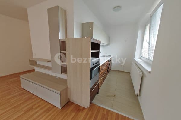 1 bedroom with open-plan kitchen flat to rent, 51 m², K Lesu, Modřice