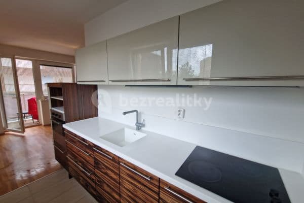 1 bedroom with open-plan kitchen flat to rent, 51 m², K Lesu, Modřice