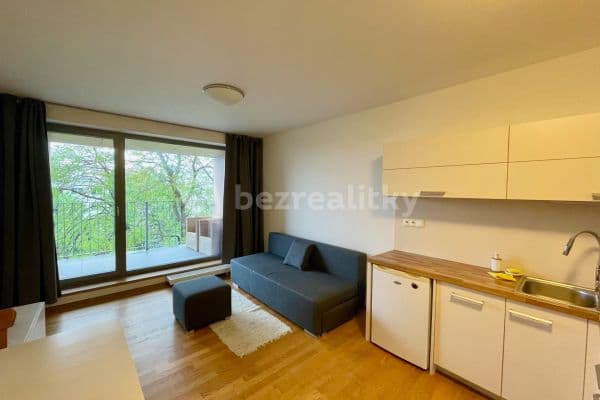 1 bedroom with open-plan kitchen flat to rent, 56 m², Klatovská, Brno