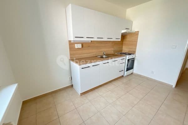 1 bedroom flat to rent, 40 m², Dělnická, 