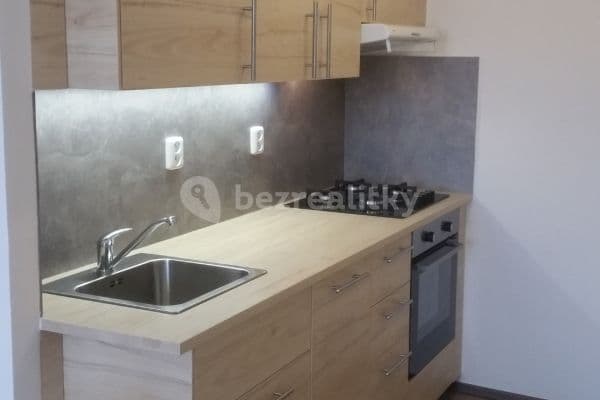1 bedroom with open-plan kitchen flat to rent, 46 m², Štichova, Hlavní město Praha