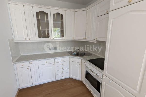 1 bedroom with open-plan kitchen flat to rent, 55 m², Na Labišti, Pardubice