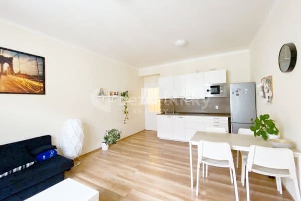 1 bedroom with open-plan kitchen flat to rent, 53 m², Jirečkova, Prague, Prague