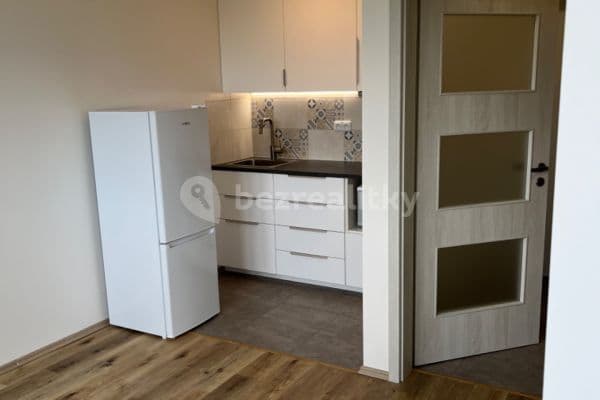 1 bedroom with open-plan kitchen flat to rent, 31 m², náměstí Dr. Václava Holého, Praha