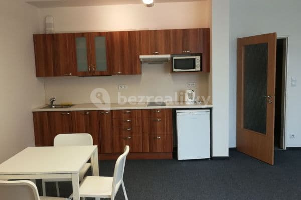1 bedroom with open-plan kitchen flat to rent, 68 m², Poděbradská, Praha