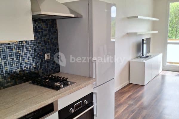 1 bedroom with open-plan kitchen flat to rent, 39 m², Brdlíkova, Praha