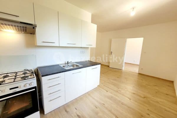 1 bedroom with open-plan kitchen flat to rent, 34 m², Dvořákova, 