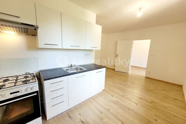 1 bedroom with open-plan kitchen flat to rent, 34 m², Dvořákova, 