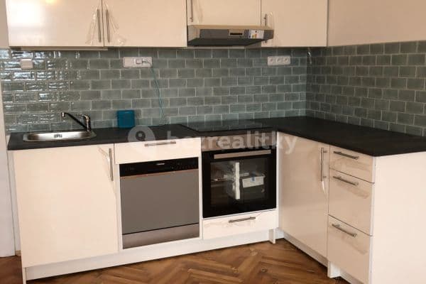 1 bedroom with open-plan kitchen flat to rent, 54 m², Argentinská, Hlavní město Praha