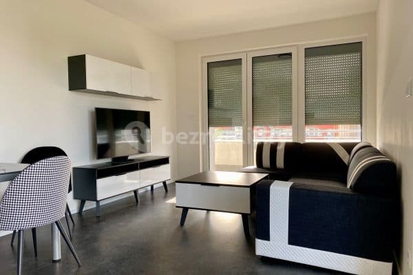 1 bedroom with open-plan kitchen flat to rent, 65 m², Praha