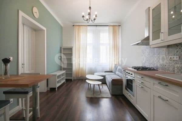 1 bedroom with open-plan kitchen flat to rent, 64 m², Kubelíkova, Hlavní město Praha