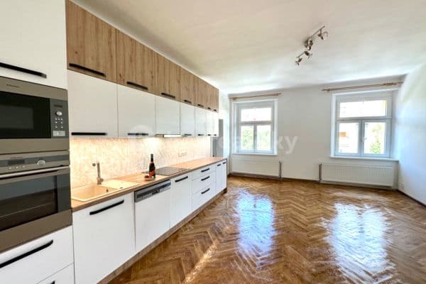1 bedroom with open-plan kitchen flat to rent, 80 m², U Kněžské louky, Praha 1 bedroom with open-plan kitchen flat to rent, 80 m², U Kněžské louky, Praha