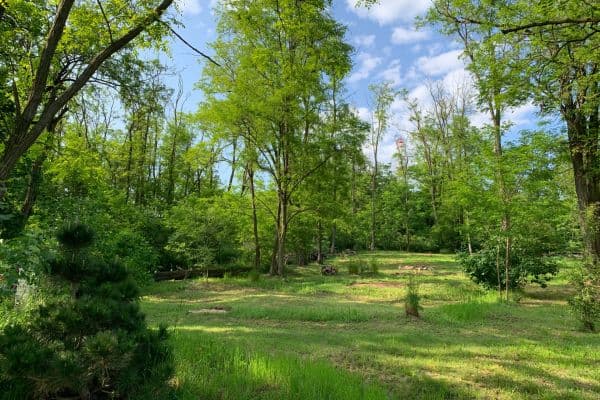 plot for sale, 2,112 m², Nebovidy plot for sale, 2,112 m², Nebovidy