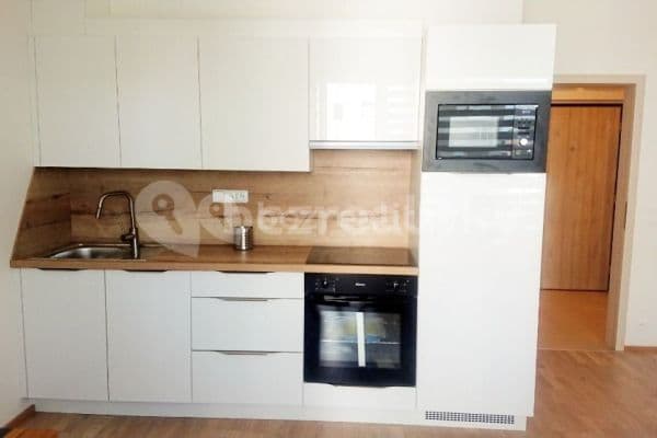 Studio flat to rent, 37 m², Waltariho, Praha Studio flat to rent, 37 m², Waltariho, Praha