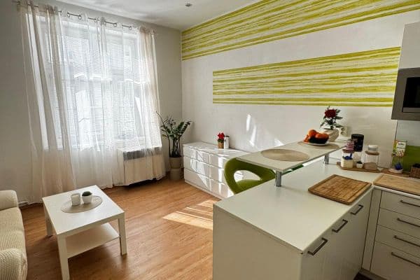 1 bedroom with open-plan kitchen flat to rent, 45 m², Zelenky-Hajského, Praha 1 bedroom with open-plan kitchen flat to rent, 45 m², Zelenky-Hajského, Praha