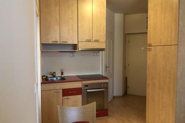 1 bedroom with open-plan kitchen flat to rent, 35 m², Brno 1 bedroom with open-plan kitchen flat to rent, 35 m², Brno