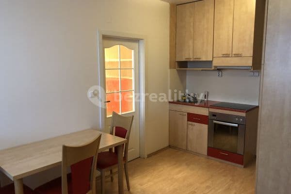 1 bedroom with open-plan kitchen flat to rent, 35 m², Brno 1 bedroom with open-plan kitchen flat to rent, 35 m², Brno