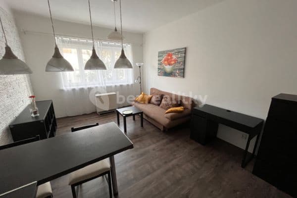 1 bedroom with open-plan kitchen flat to rent, 50 m², Hartigova, Praha 1 bedroom with open-plan kitchen flat to rent, 50 m², Hartigova, Praha
