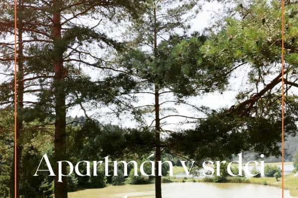 1 bedroom with open-plan kitchen flat to rent, 44 m², Všemina 1 bedroom with open-plan kitchen flat to rent, 44 m², Všemina