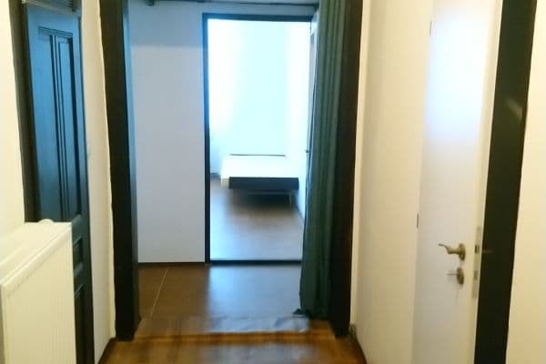 1 bedroom with open-plan kitchen flat to rent, 52 m², Na Plzeňce, Praha 1 bedroom with open-plan kitchen flat to rent, 52 m², Na Plzeňce, Praha