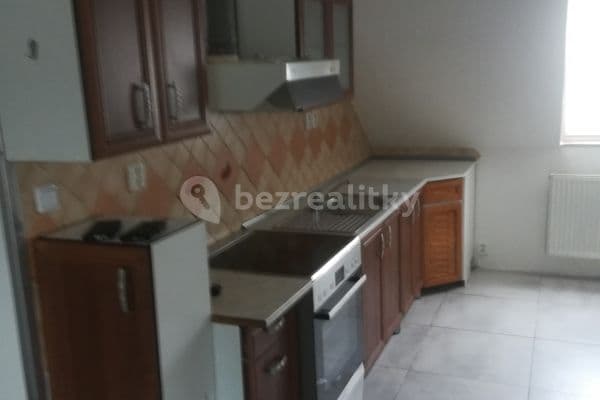 3 bedroom with open-plan kitchen flat to rent, 103 m², Praha 3 bedroom with open-plan kitchen flat to rent, 103 m², Praha
