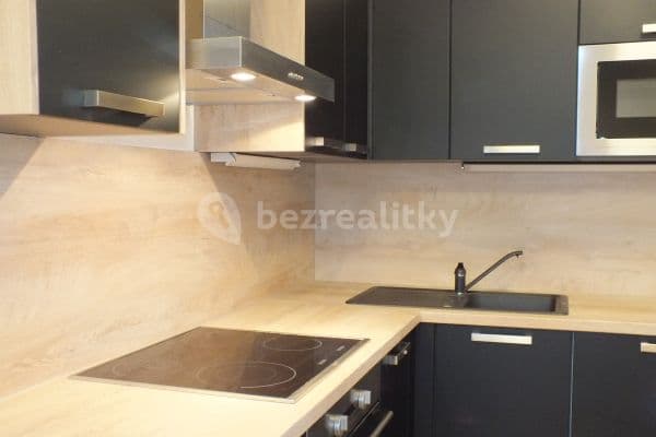 1 bedroom with open-plan kitchen flat to rent, 56 m², Štanderova, Praha 1 bedroom with open-plan kitchen flat to rent, 56 m², Štanderova, Praha