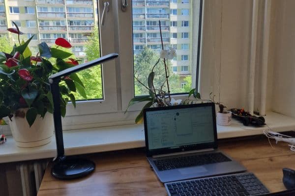2 bedroom with open-plan kitchen flat for sale, 65 m², Tererova, Praha 2 bedroom with open-plan kitchen flat for sale, 65 m², Tererova, Praha
