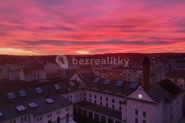 1 bedroom with open-plan kitchen flat to rent, 70 m², U Uranie, Praha 1 bedroom with open-plan kitchen flat to rent, 70 m², U Uranie, Praha