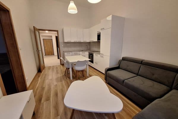 1 bedroom with open-plan kitchen flat to rent, 49 m², Mikovcova, Praha 1 bedroom with open-plan kitchen flat to rent, 49 m², Mikovcova, Praha