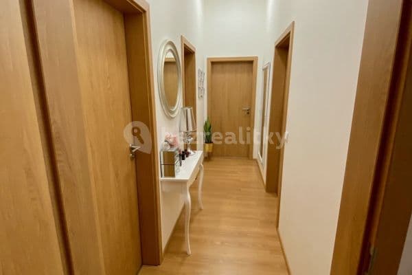 1 bedroom with open-plan kitchen flat to rent, 155 m², Eduarda Hamburgera, Olomouc 1 bedroom with open-plan kitchen flat to rent, 155 m², Eduarda Hamburgera, Olomouc