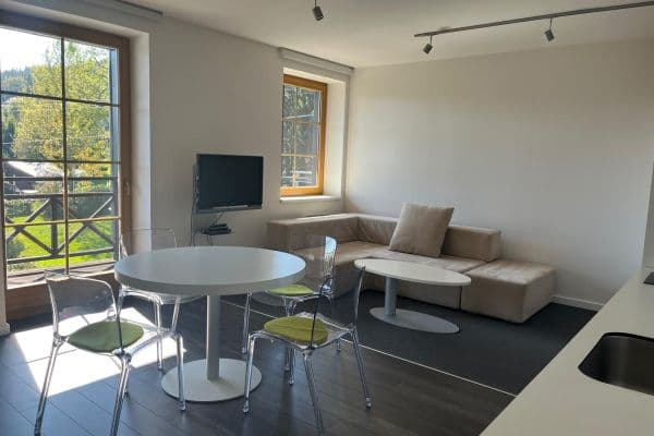 1 bedroom with open-plan kitchen flat to rent, 46 m², Bedřichov 1 bedroom with open-plan kitchen flat to rent, 46 m², Bedřichov